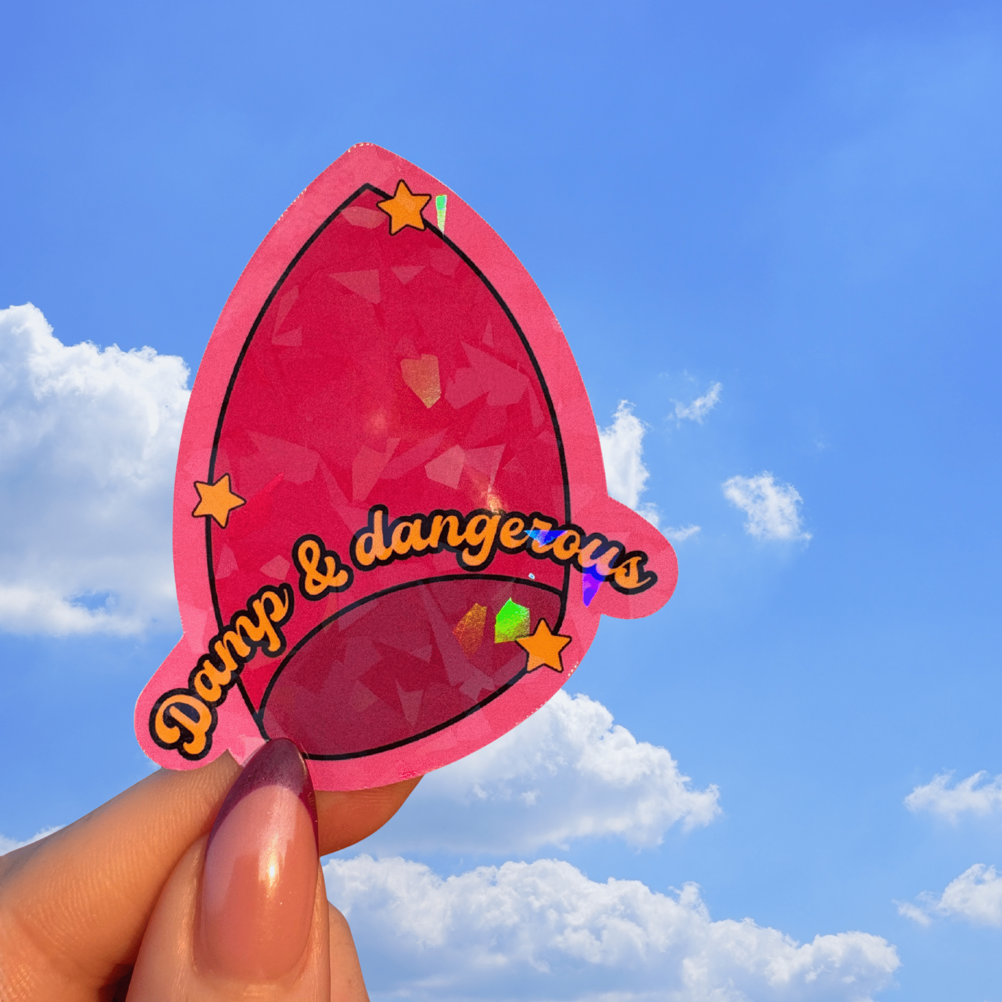 Damp & dangerous holographic stickerThe Offensive Sticker Co.