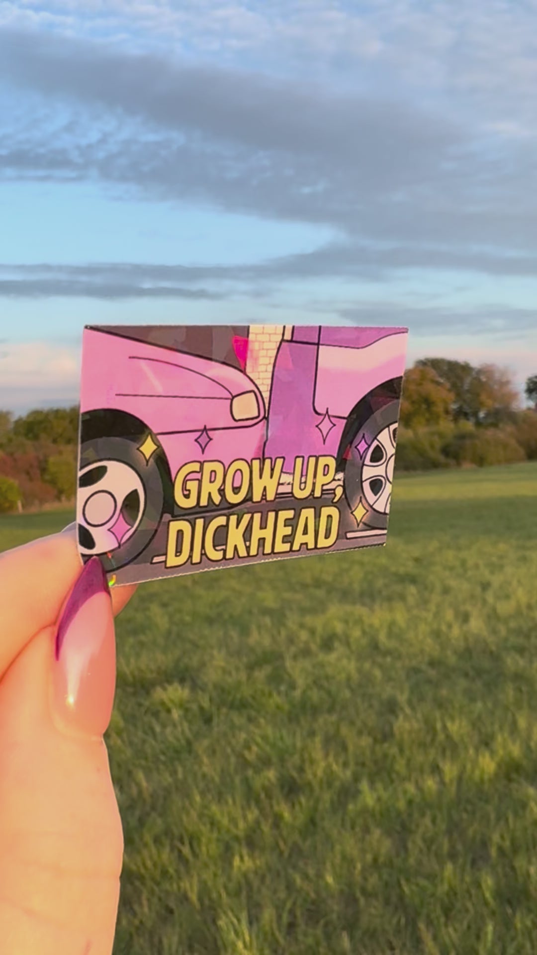 Grow up dickhead holographic sticker