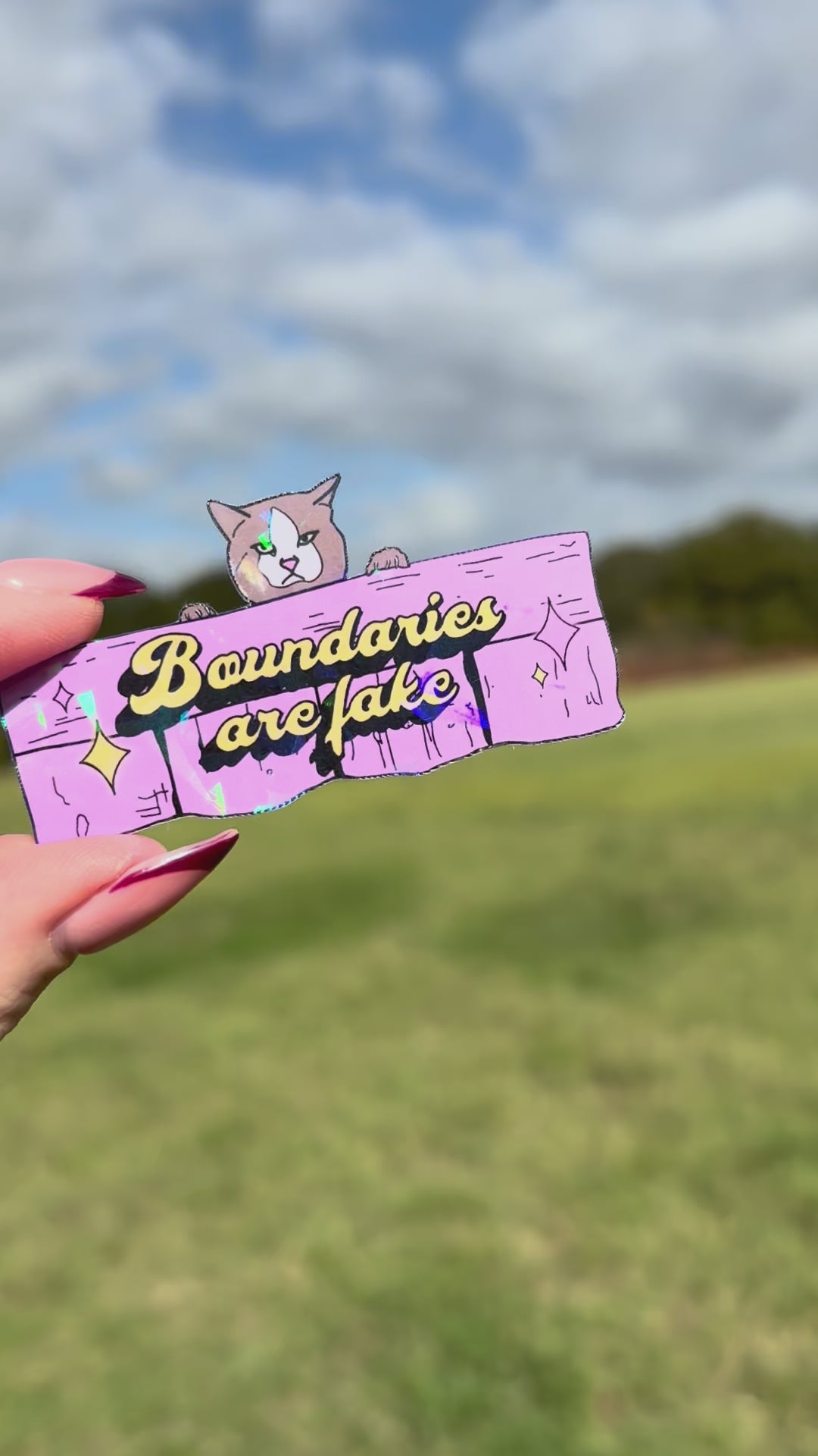 Boundaries are fake holographic sticker