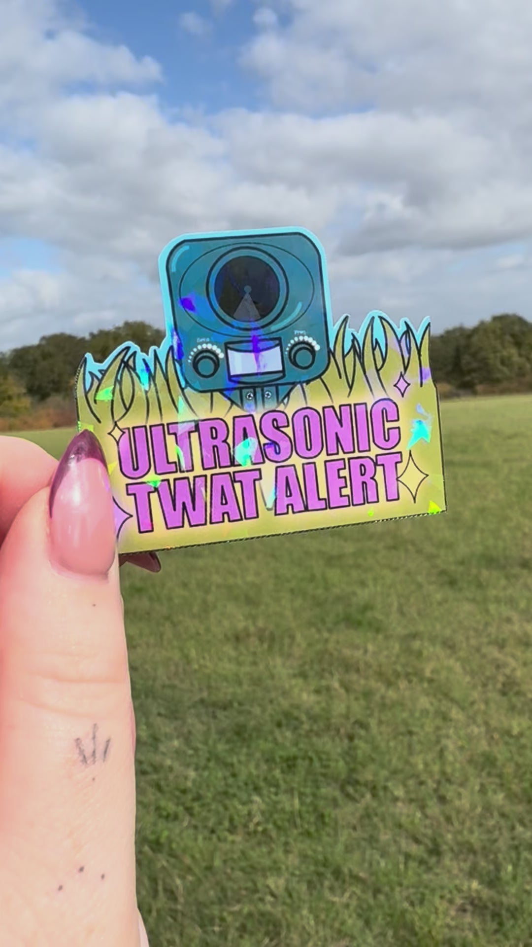 Ultrasonic twat alert holographic sticker
