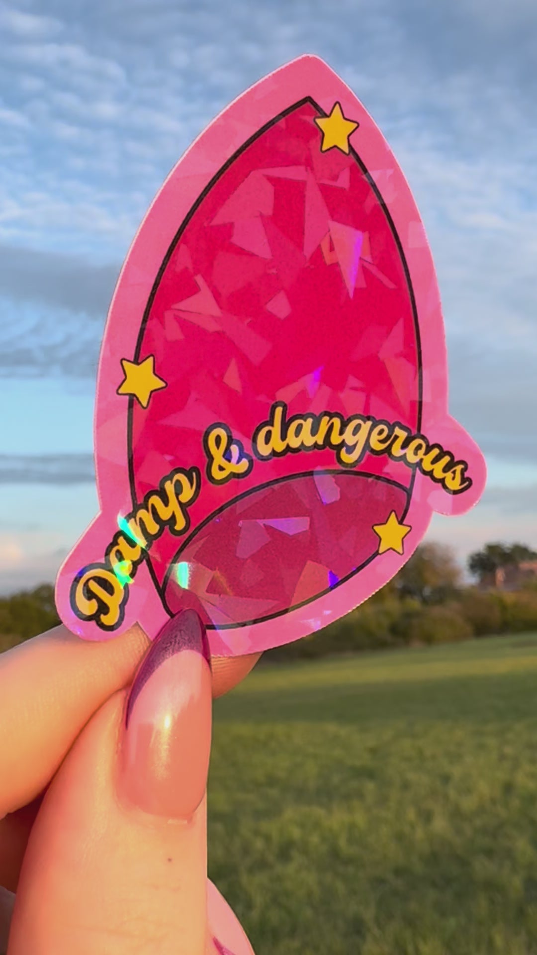 Damp & dangerous holographic sticker