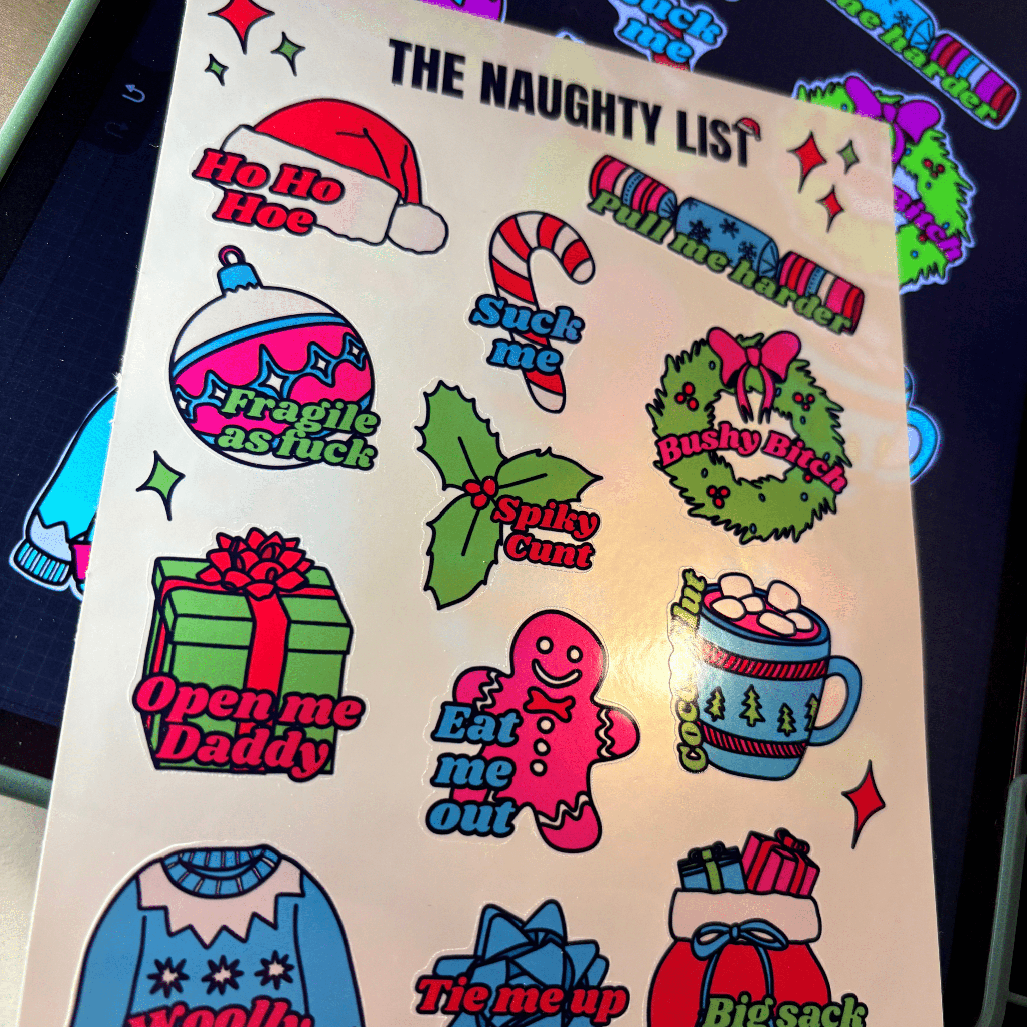 The naughty list Christmas sticker sheet 🎄 Cost of Livvy SpecialThe Offensive Sticker Co.